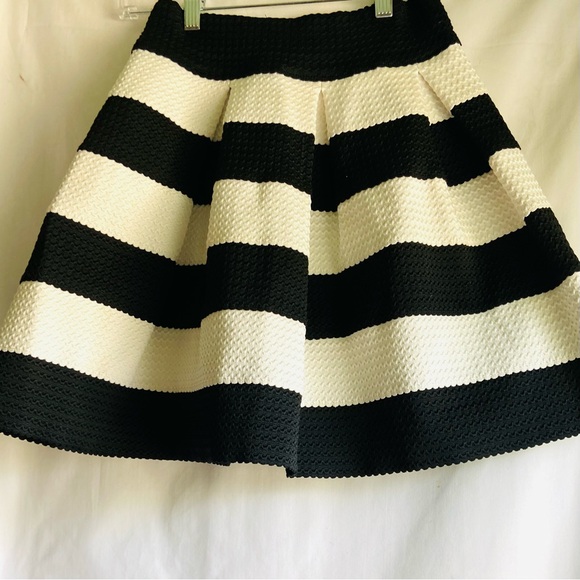 Black and White Mini A-Line Skirt - Picture 1 of 4